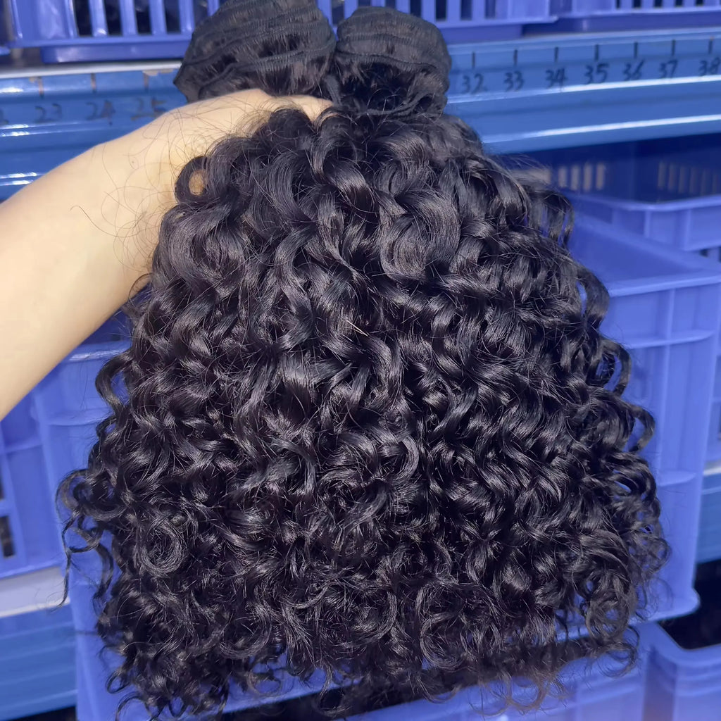 Best Quality Burmese Curly Hair hd 6x6 Closure 9x6 Front Wholesale Raw Indian Curly Clips in Tape Ins Crochet Hair hd Lace Wigs